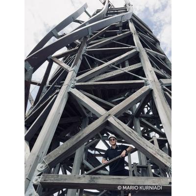Hardwoods and screws: Ironwood in the Tri Hita Karana Tower 
