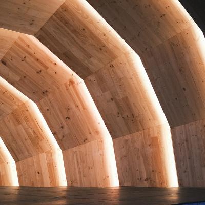 the armadillo 