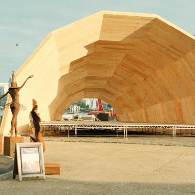 the armadillo 