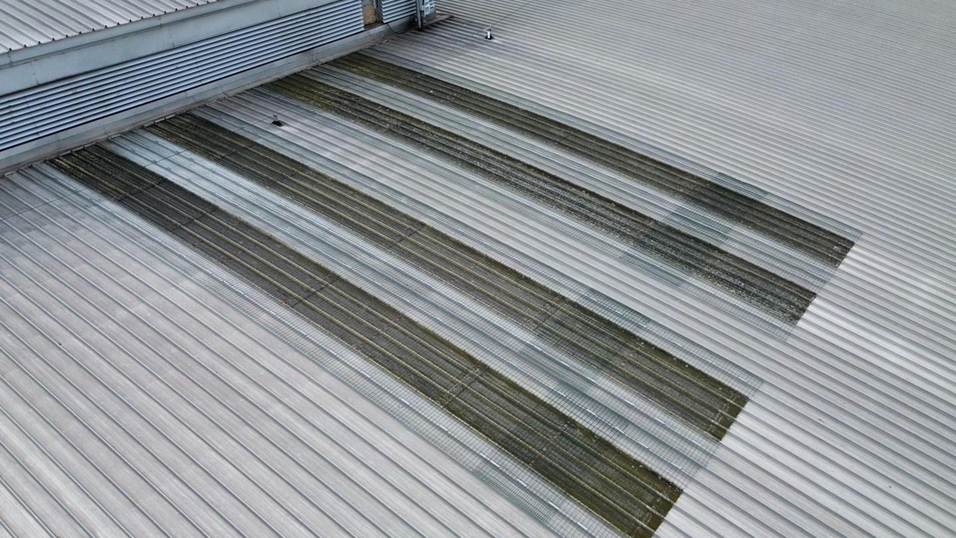 Permanent skylight fall protection system installed over fragile rooflights on corrugated metal industrial roof 