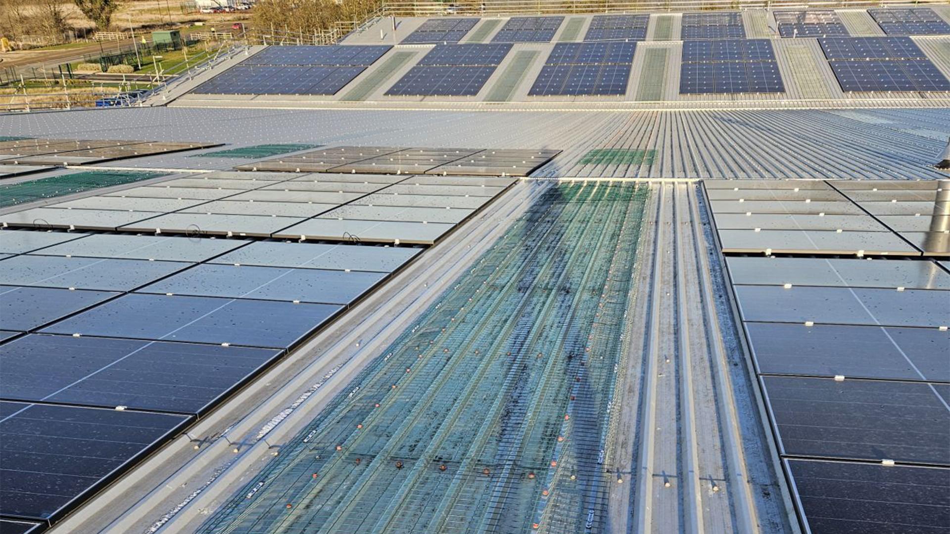 Skylight fall protection system integrated with photovoltaic installation on industrial metal roof 