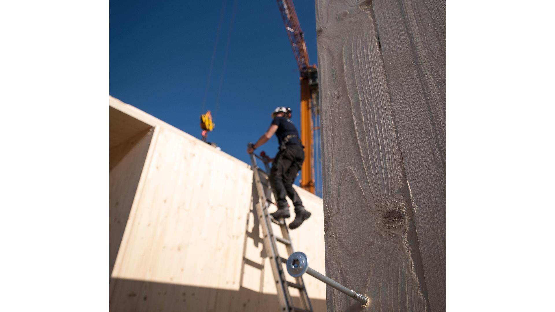 Structural screw connection in CLT panel for timber pavilion construction