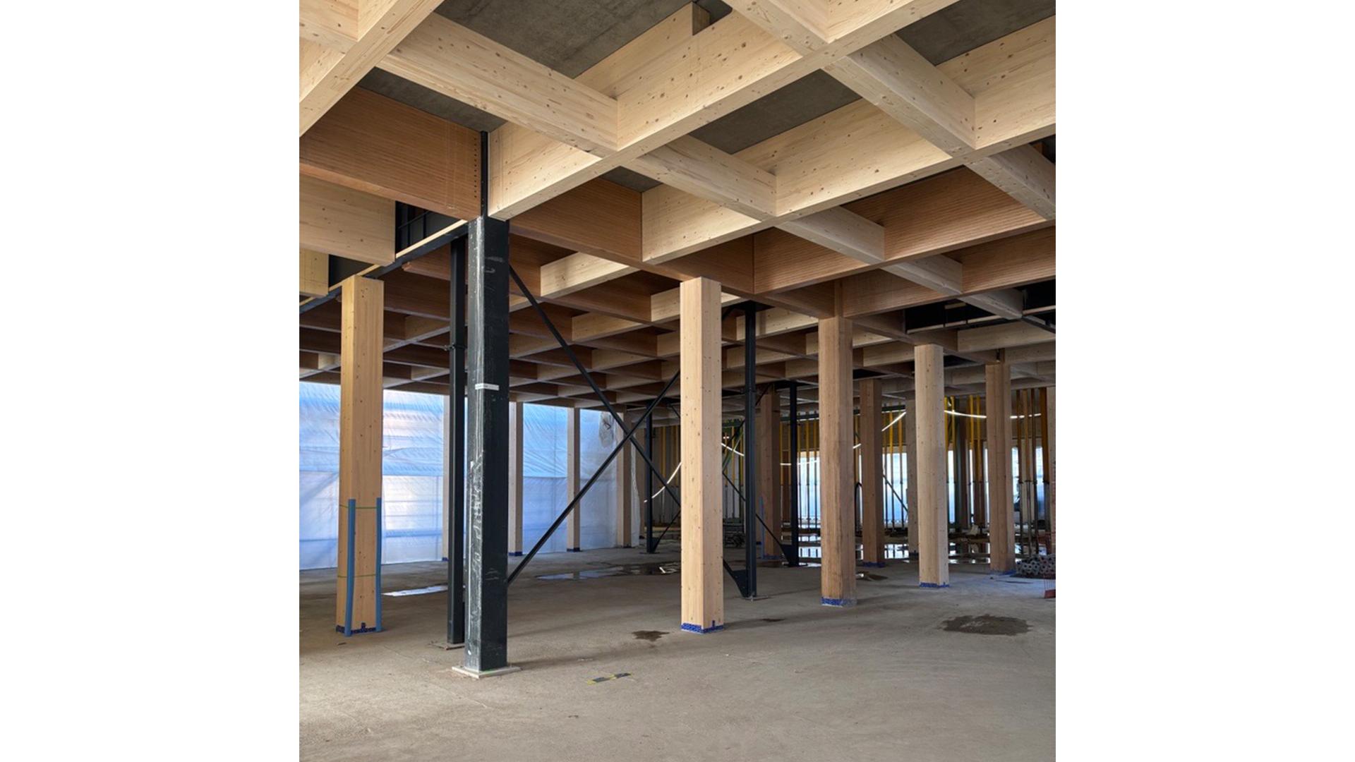 Post and beam engineered timber structure with glulam beams and columns connected to concrete slab in hybrid system