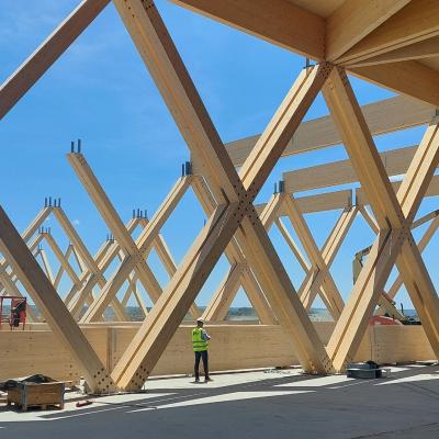 CLT and GLT timber roof structure with diagonal bracing, EXPO 2027 Belgrade
