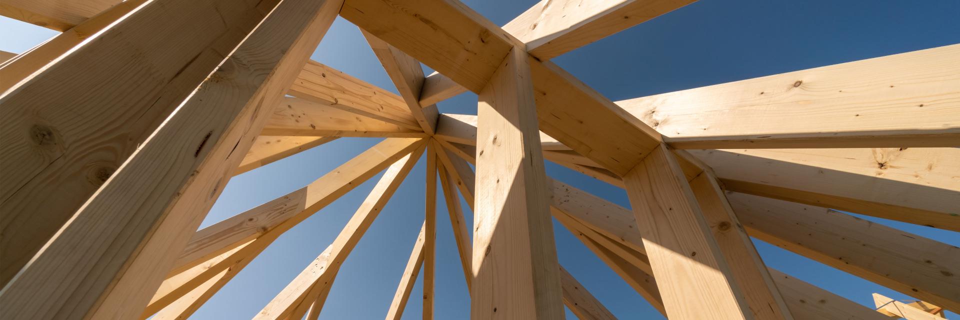 DESIGN TIMBER IN THE TROPICS - VIETNAM